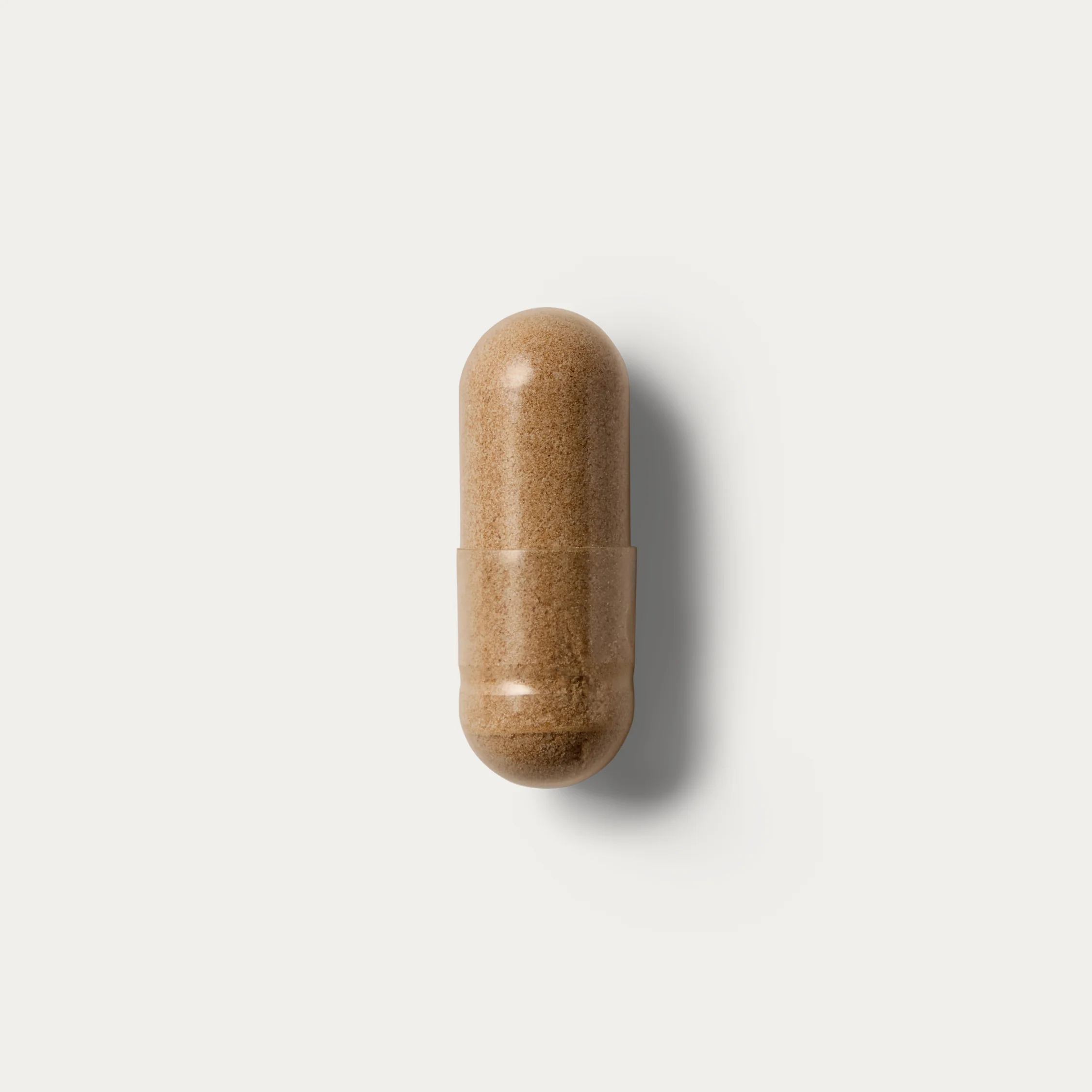 Cardiovascular Cordyceps - Image 15