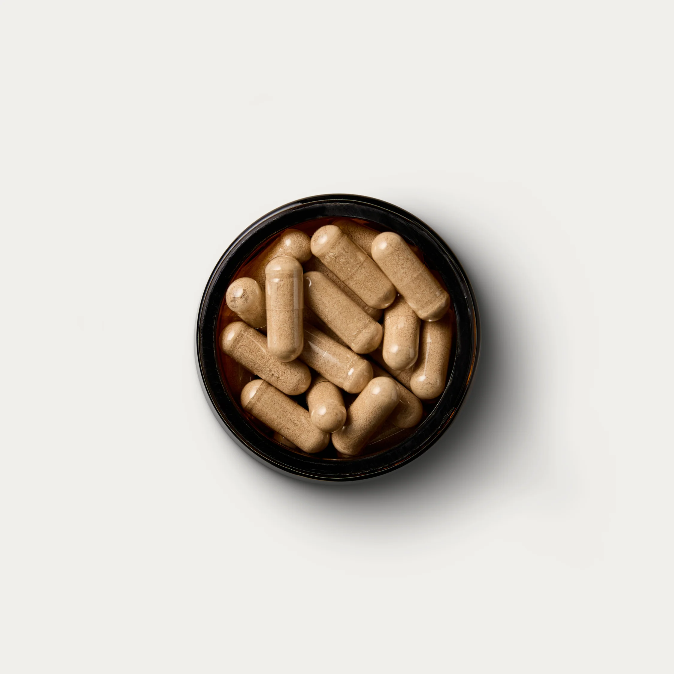 Lion's Mane For the Brain - Image 11