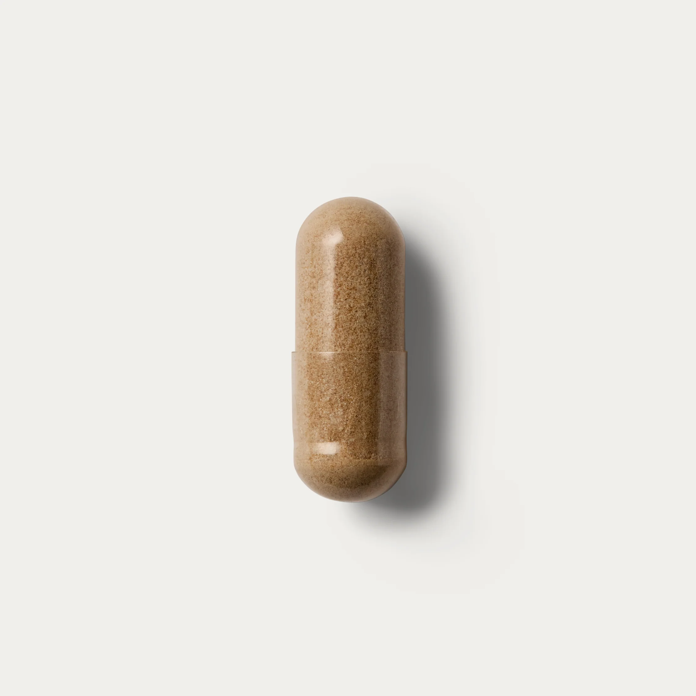Lion's Mane For the Brain - Image 14