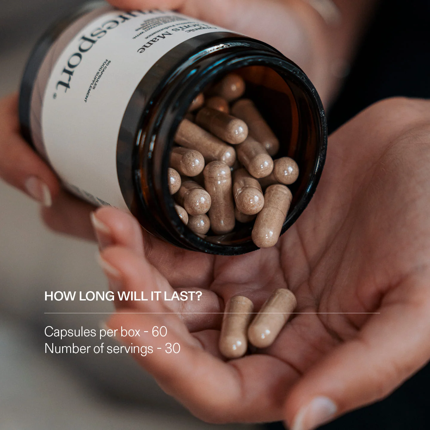 Lion's Mane For the Brain - Image 9