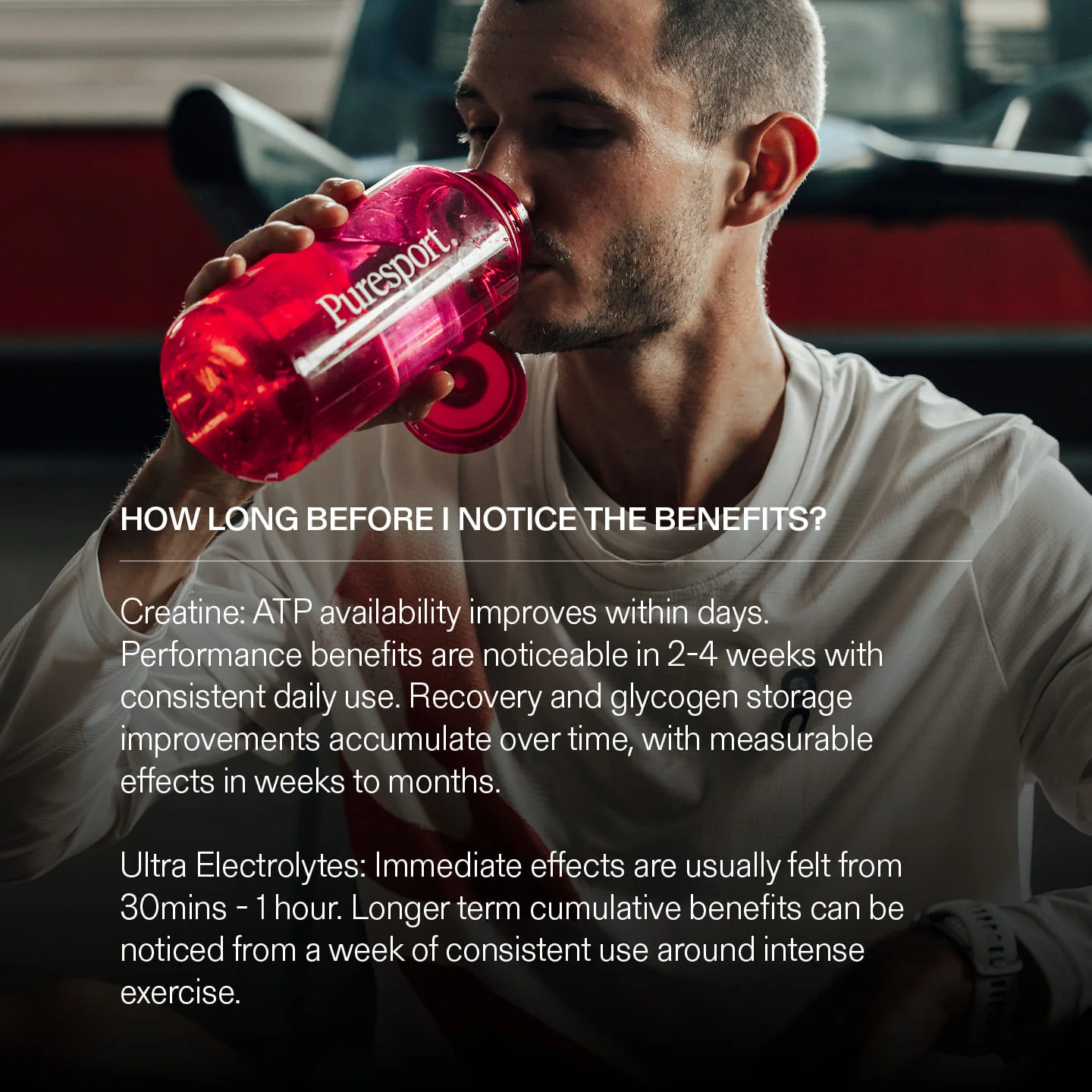 Peak Performance Bundle - Image 11